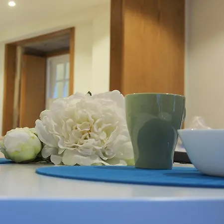 Belomont6 פורטו